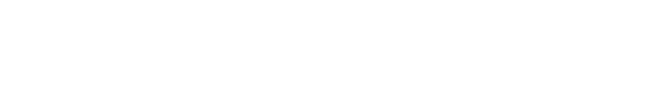 Logo for Stitch Workflow